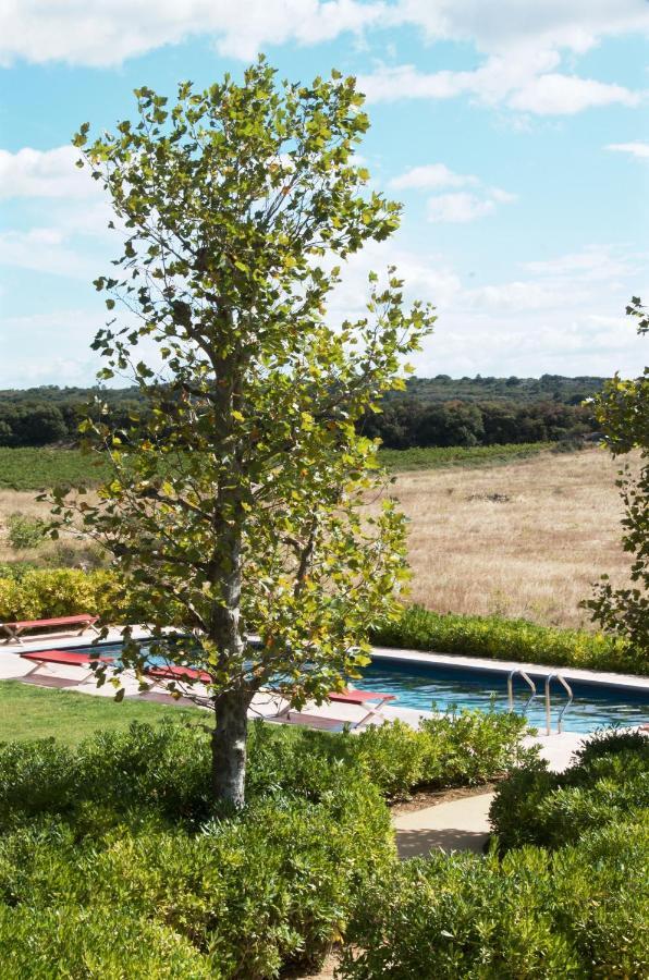 Village Castigno - Wine Hotel & Resort Assignan Eksteriør bilde